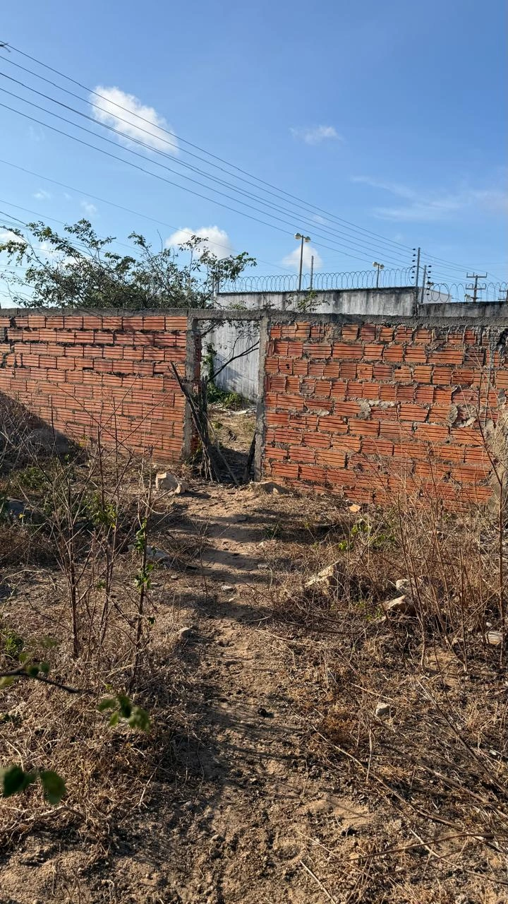 Homem é preso suspeito de abuso sexual contra crianças em terreno baldio em Parnaíba