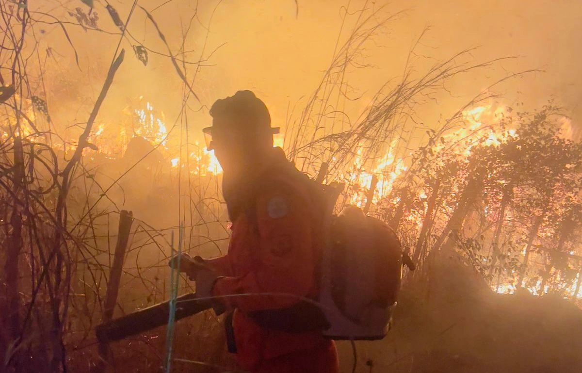Semarh proíbe queimadas em imóveis rurais até 30 de outubro para prevenir incêndios florestais em todo o Piauí