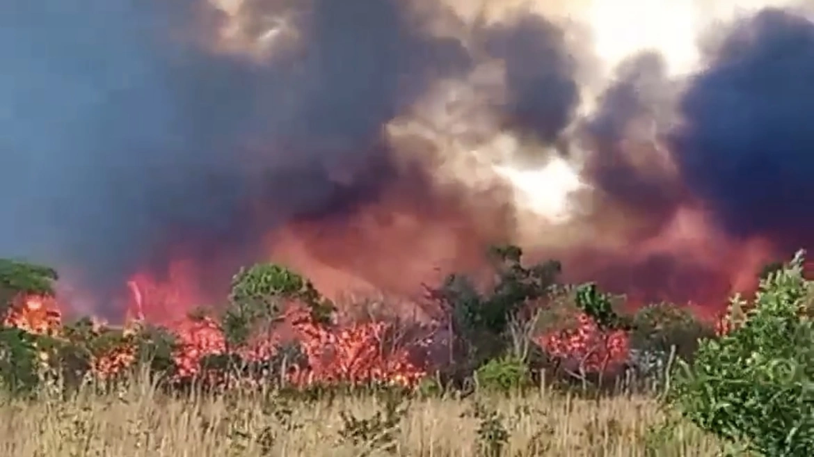 Incêndio se alastra em área de vegetação no Piauí; imóvel foi atingido