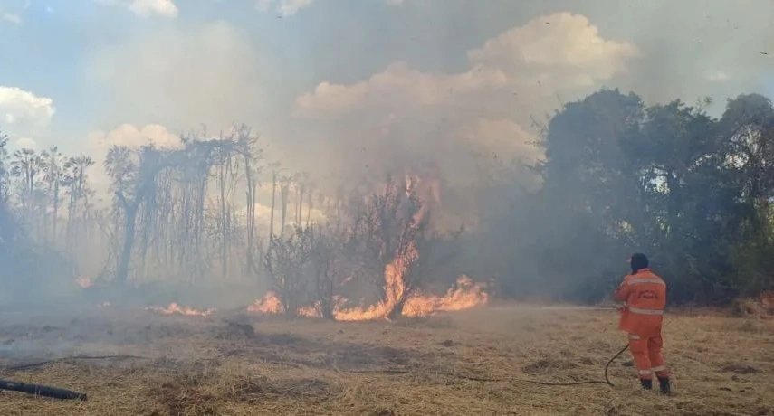 Piauí registra quase 6 mil incêndios em nove meses; Teresina lidera ocorrências e setembro bate recorde