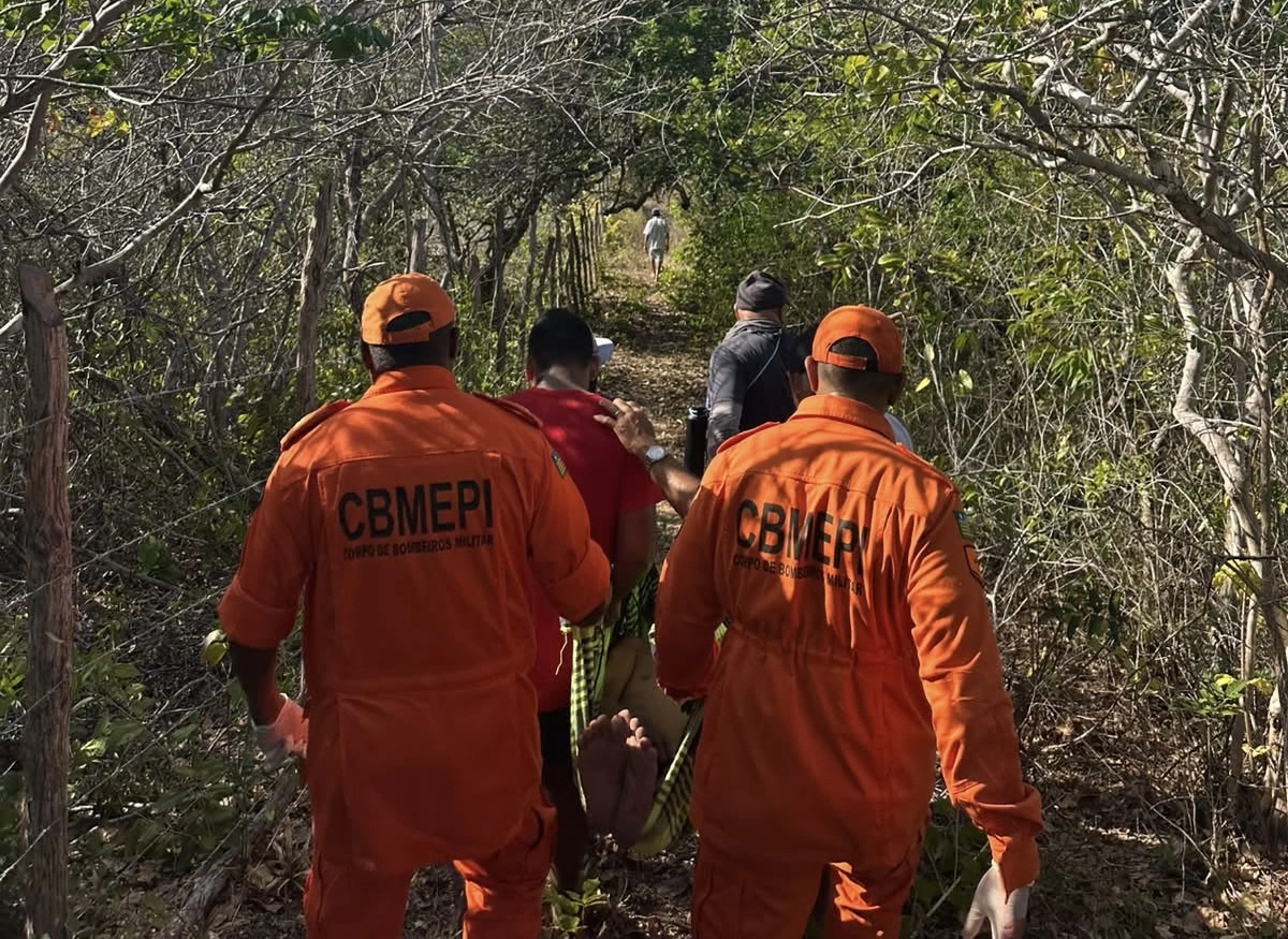 Desaparecido há três dias, homem é encontrado debilitado em mata no litoral do Piauí